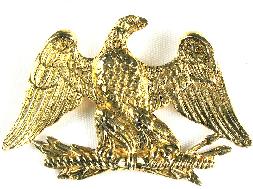 Accessocraft eagle pin