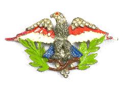 Enameled and rhinestone eagle with branches pin