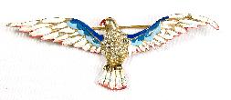 Red, white and blue enameled eagle pin